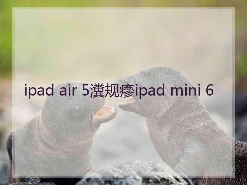 ipad air 5瀵规瘮ipad mini 6