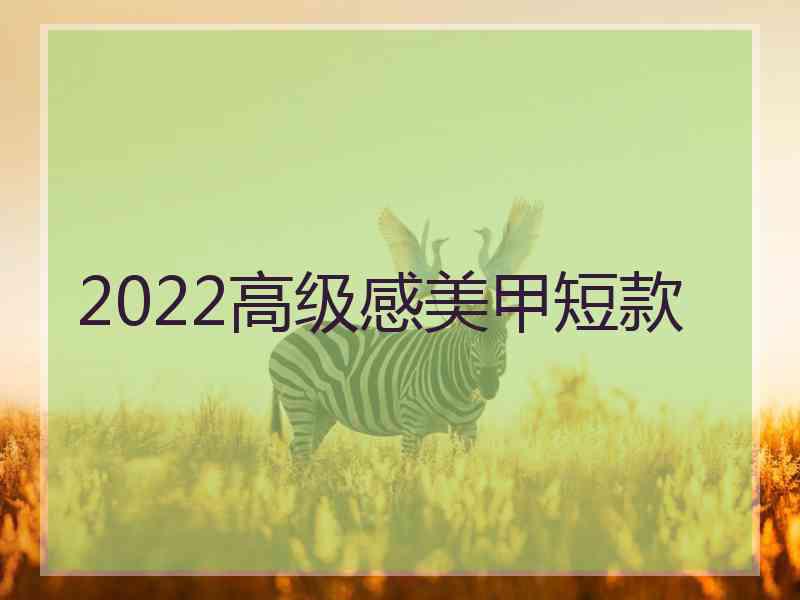 2022高级感美甲短款