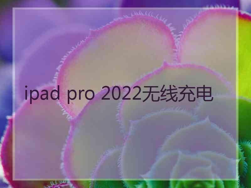 ipad pro 2022无线充电