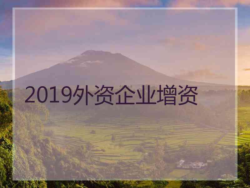 2019外资企业增资