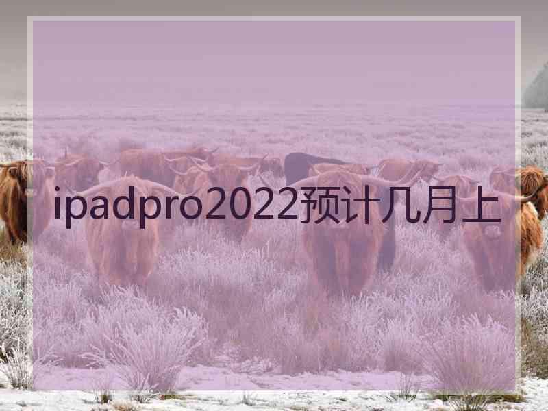 ipadpro2022预计几月上