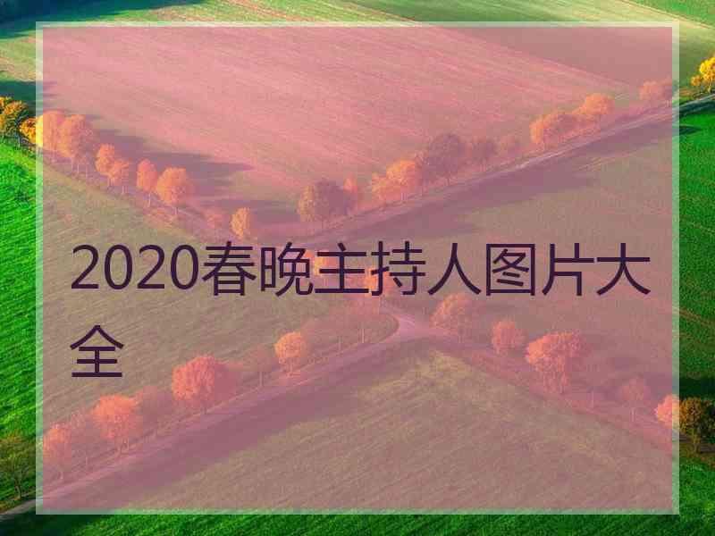 2020春晚主持人图片大全