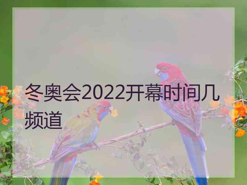 冬奥会2022开幕时间几频道