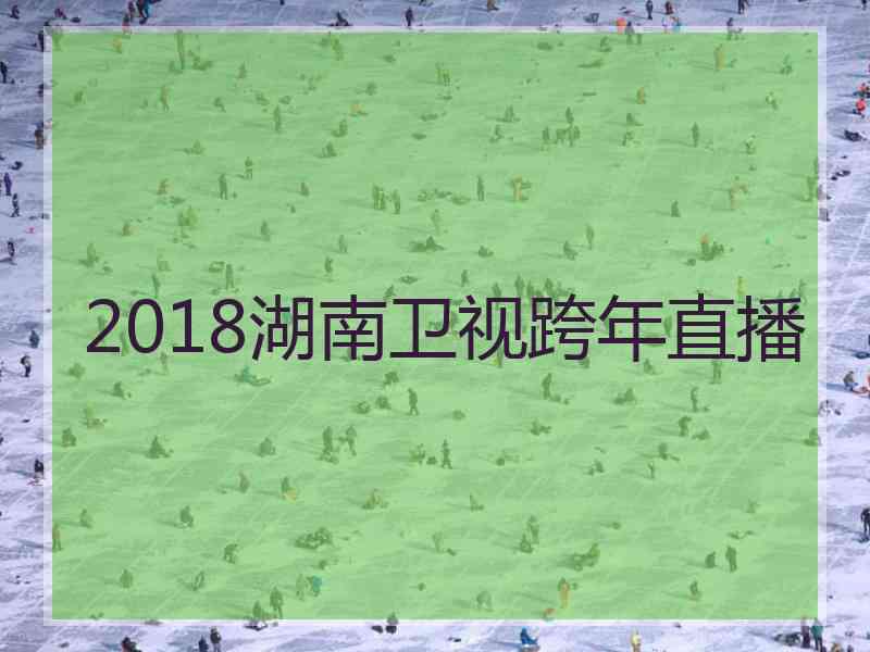 2018湖南卫视跨年直播