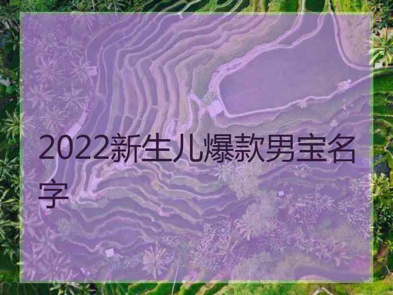 2022新生儿爆款男宝名字