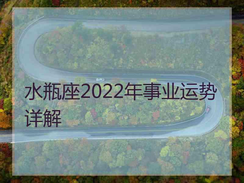 水瓶座2022年事业运势详解