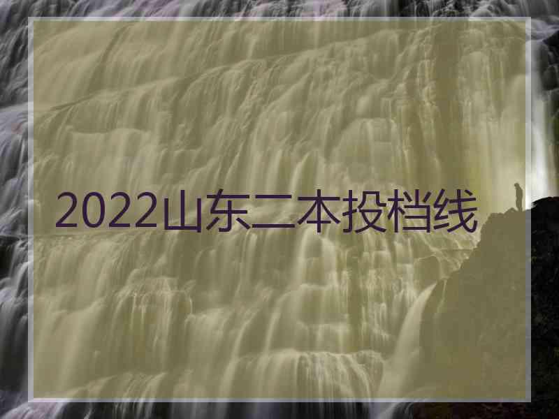 2022山东二本投档线