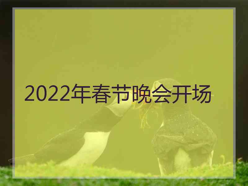 2022年春节晚会开场