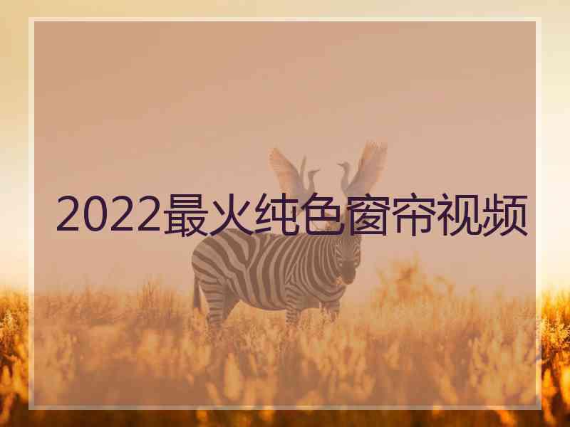 2022最火纯色窗帘视频