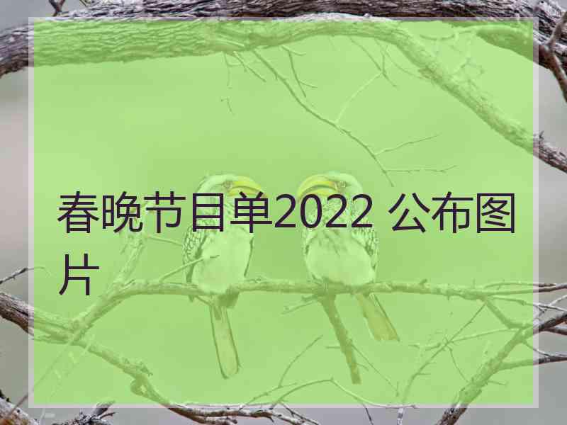 春晚节目单2022 公布图片