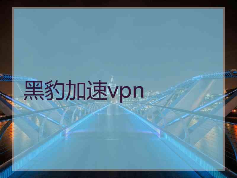 黑豹加速vpn