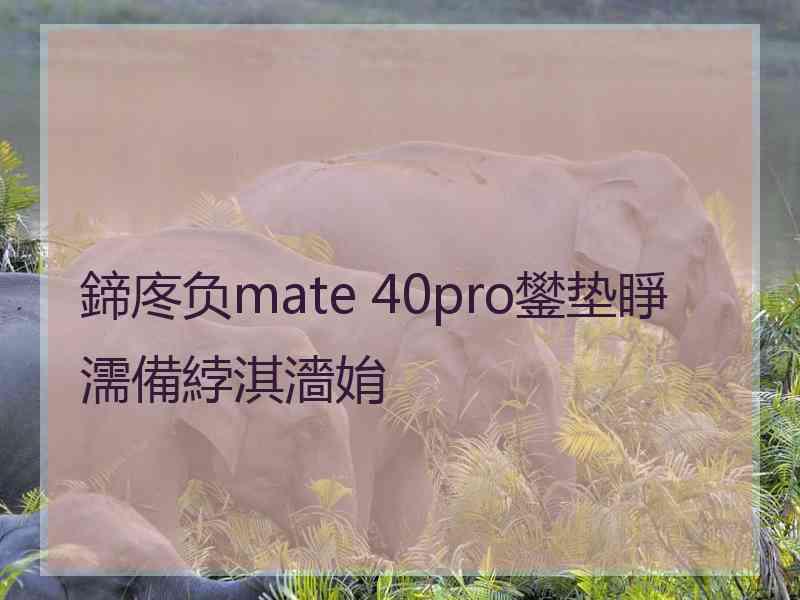 鍗庝负mate 40pro鐢垫睜濡備綍淇濇姢