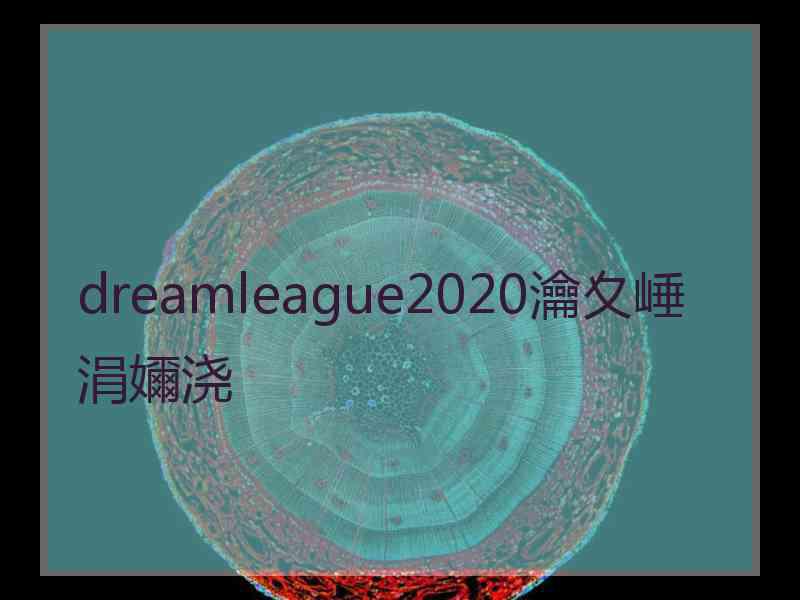 dreamleague2020瀹夊崜涓嬭浇