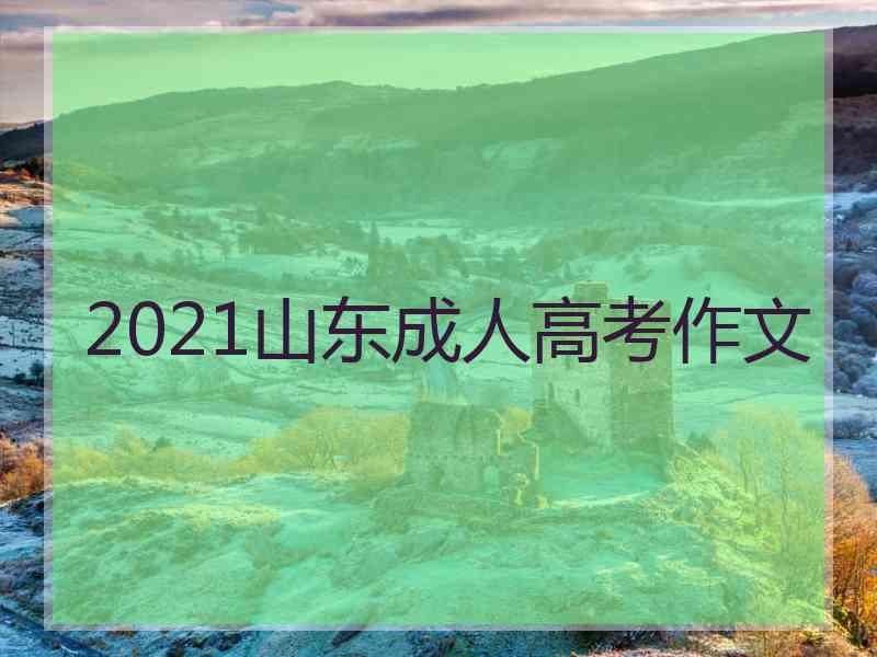 2021山东成人高考作文