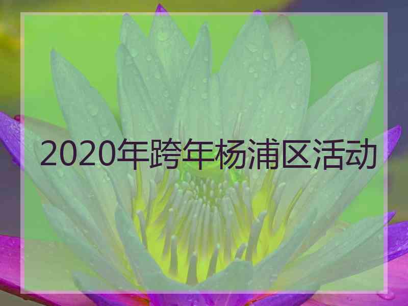 2020年跨年杨浦区活动