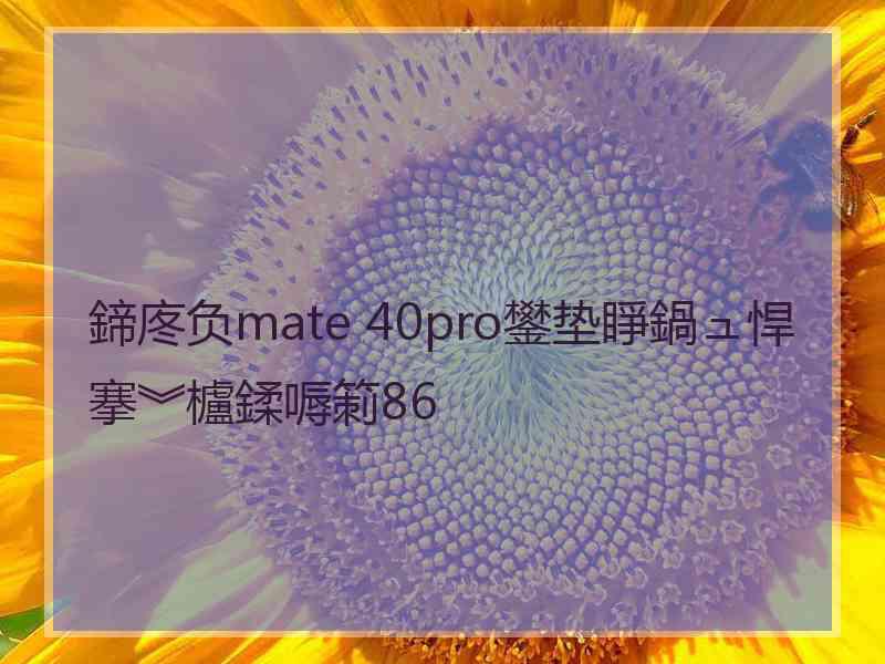 鍗庝负mate 40pro鐢垫睜鍋ュ悍搴︾櫨鍒嗕箣86