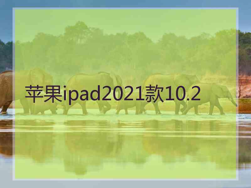 苹果ipad2021款10.2