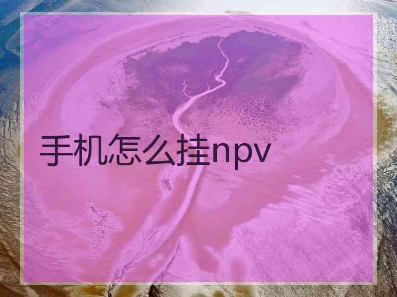 手机怎么挂npv