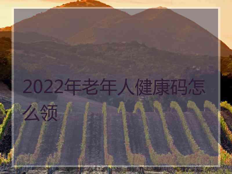 2022年老年人健康码怎么领