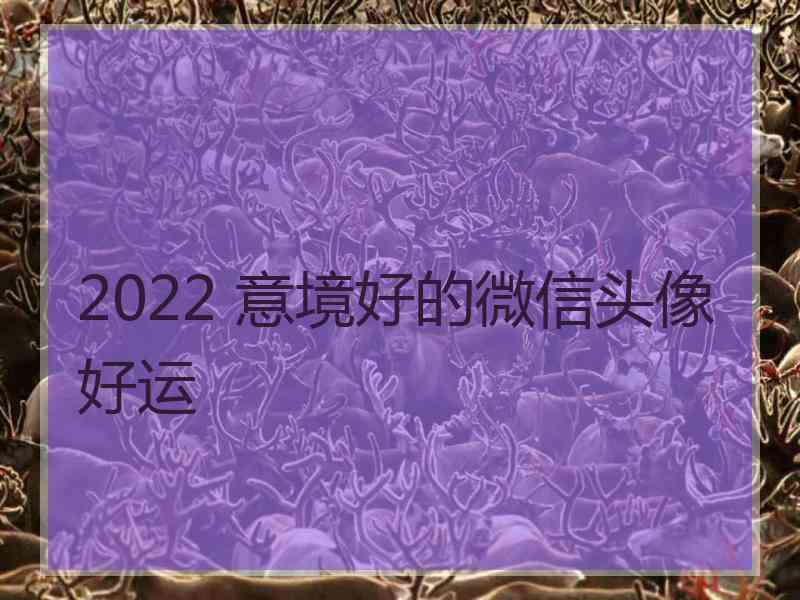 2022 意境好的微信头像好运