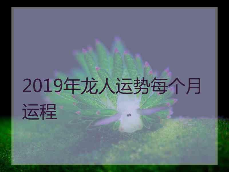 2019年龙人运势每个月运程