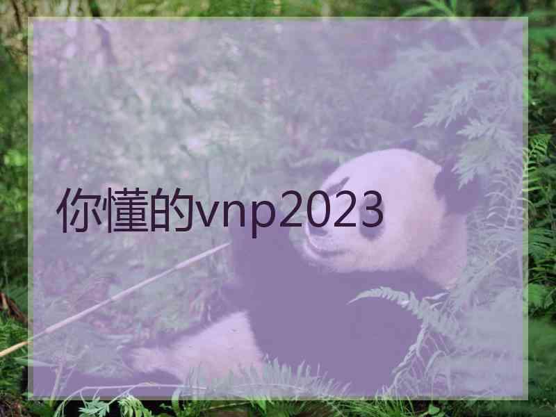 你懂的vnp2023