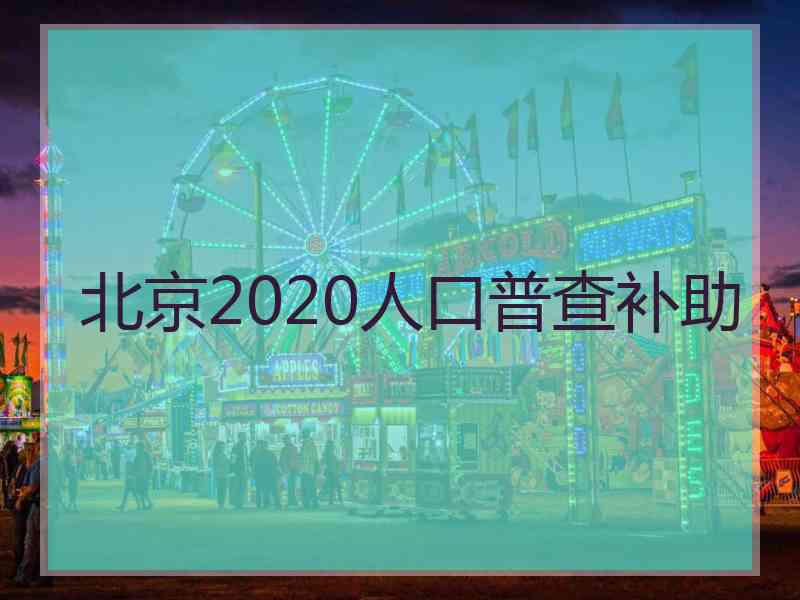 北京2020人口普查补助