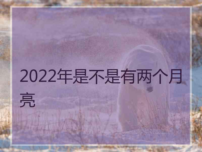 2022年是不是有两个月亮