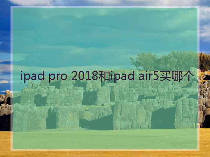 ipad pro 2018和ipad air5买哪个