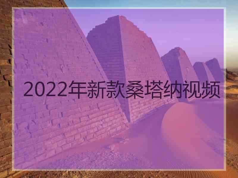 2022年新款桑塔纳视频