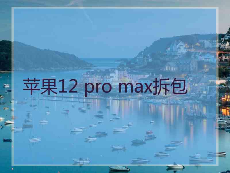 苹果12 pro max拆包