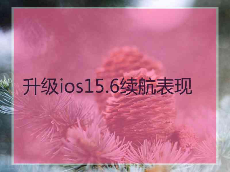 升级ios15.6续航表现