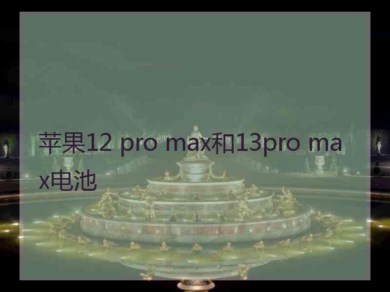 苹果12 pro max和13pro max电池