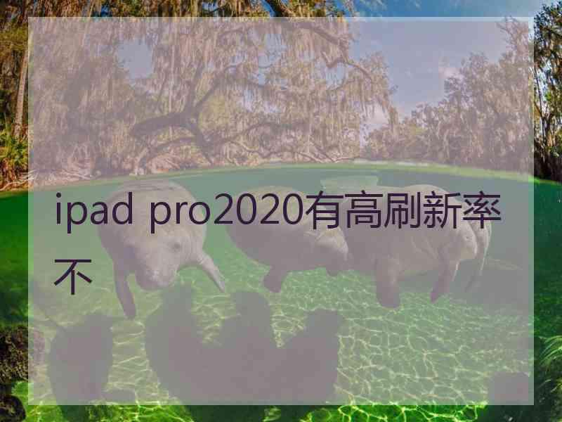 ipad pro2020有高刷新率不