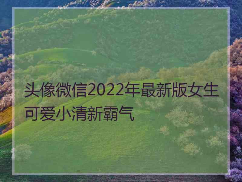 头像微信2022年最新版女生可爱小清新霸气