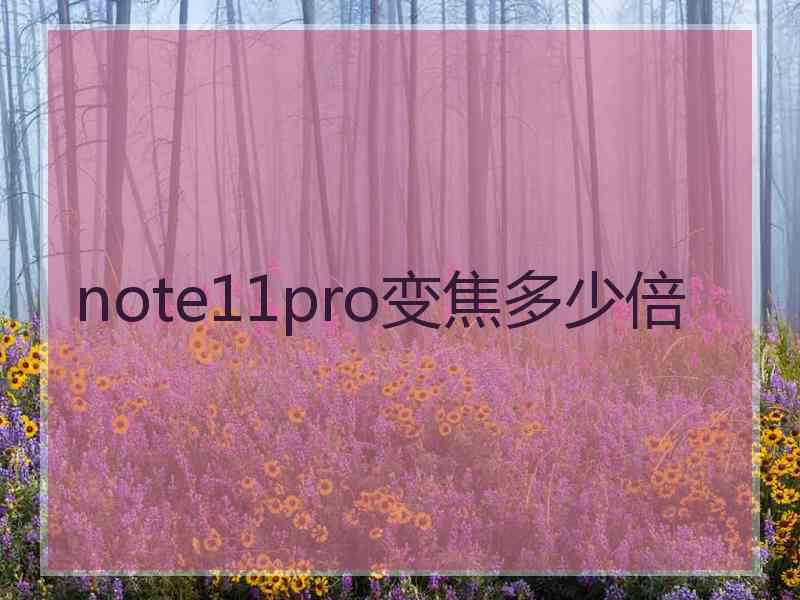 note11pro变焦多少倍