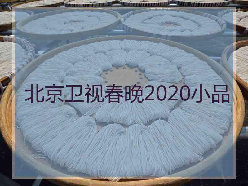 北京卫视春晚2020小品