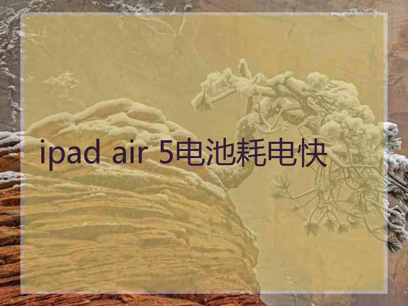 ipad air 5电池耗电快