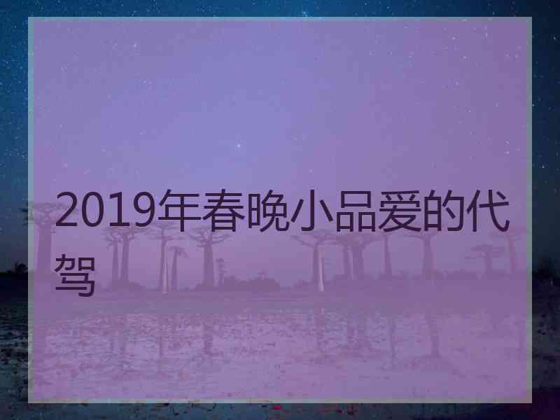 2019年春晚小品爱的代驾