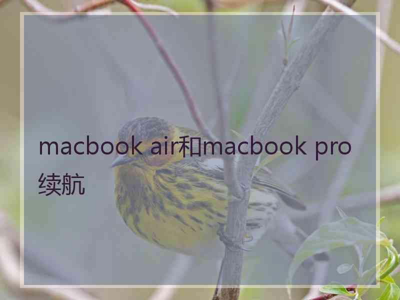 macbook air和macbook pro续航