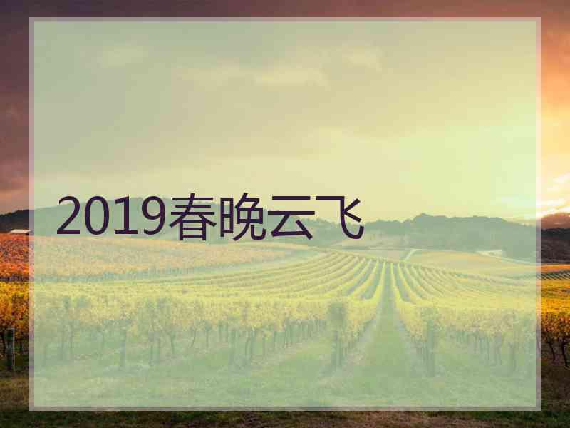 2019春晚云飞