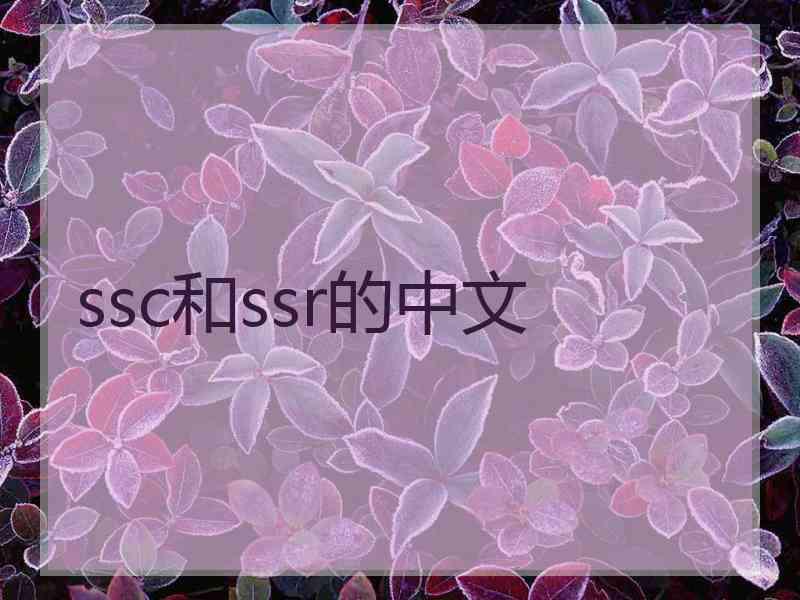 ssc和ssr的中文