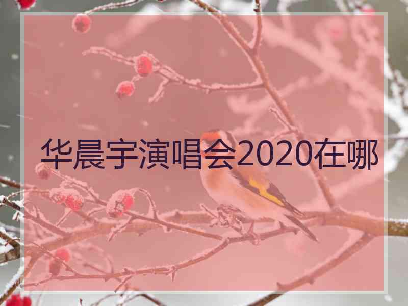 华晨宇演唱会2020在哪