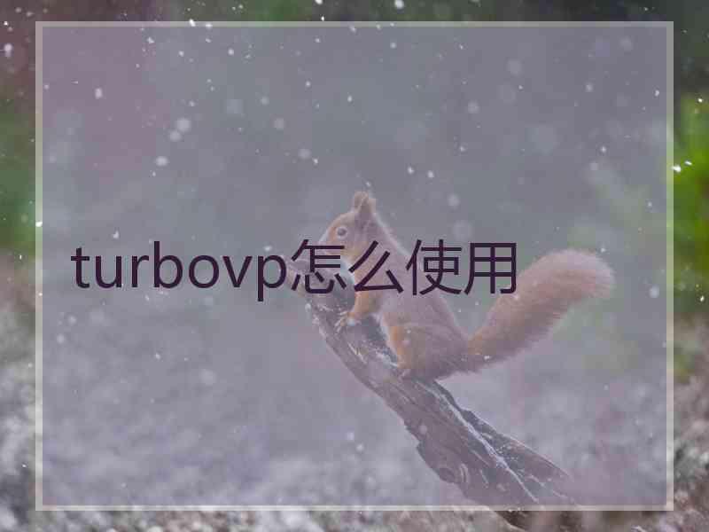 turbovp怎么使用