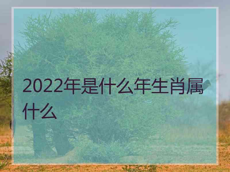 2022年是什么年生肖属什么