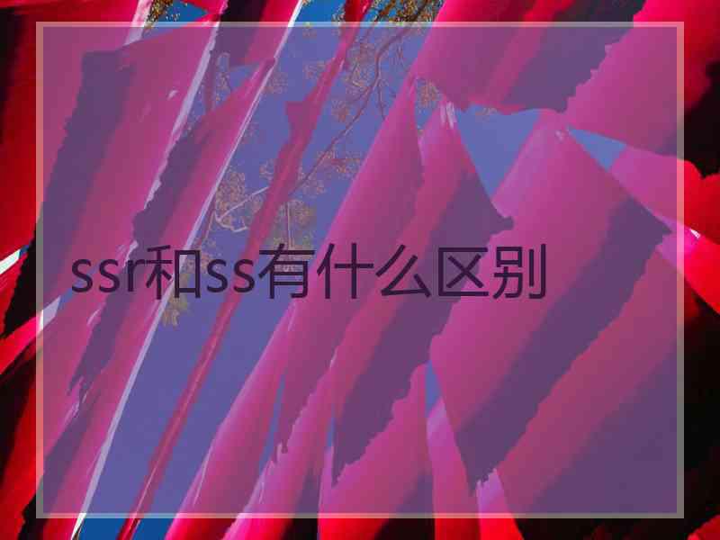 ssr和ss有什么区别