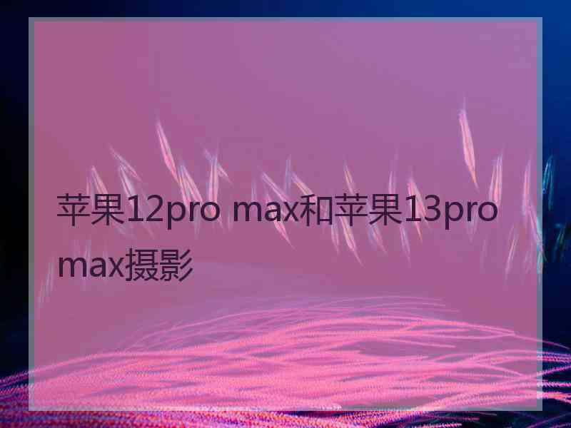 苹果12pro max和苹果13promax摄影