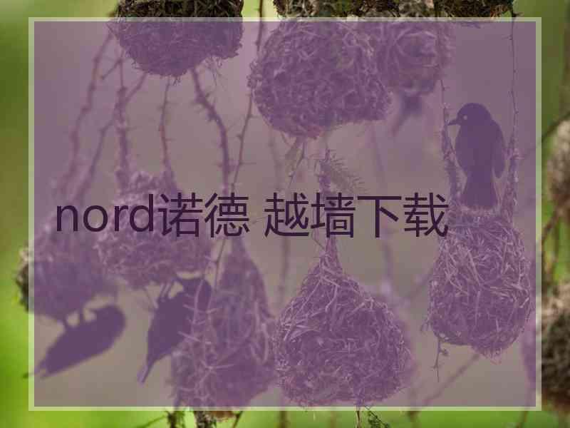 nord诺德 越墙下载