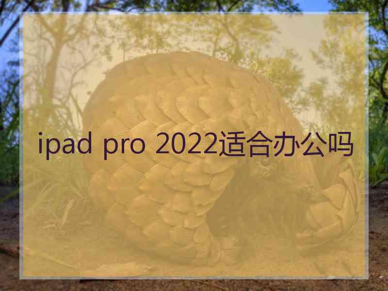 ipad pro 2022适合办公吗