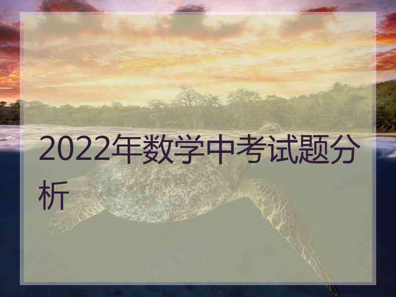 2022年数学中考试题分析